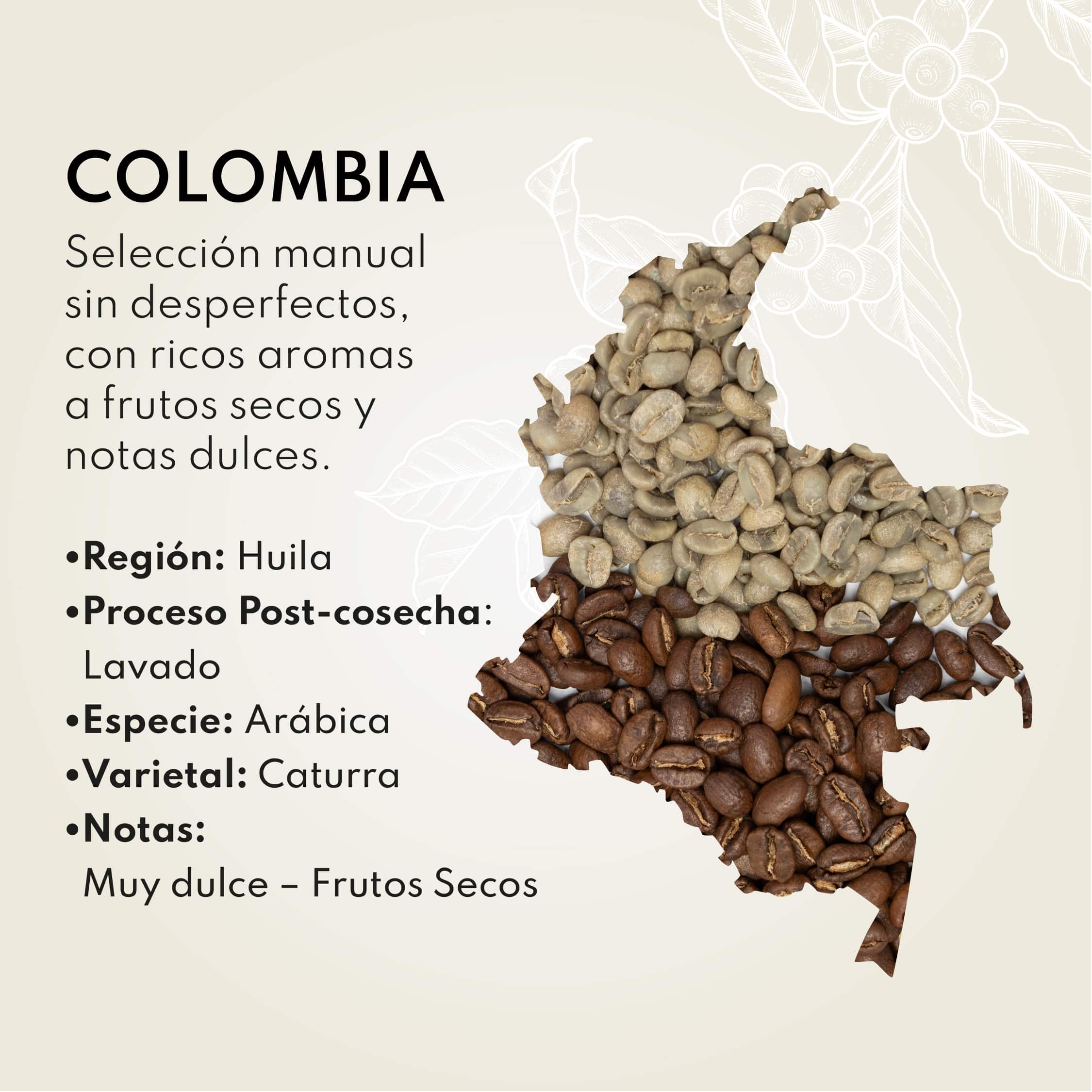 Café de Colombia Caturra en grano 250g - Imagen 2