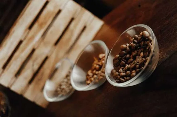 Bocono-Specialty-coffee-cafe-grano-Cafeteria-de-Especialidad
