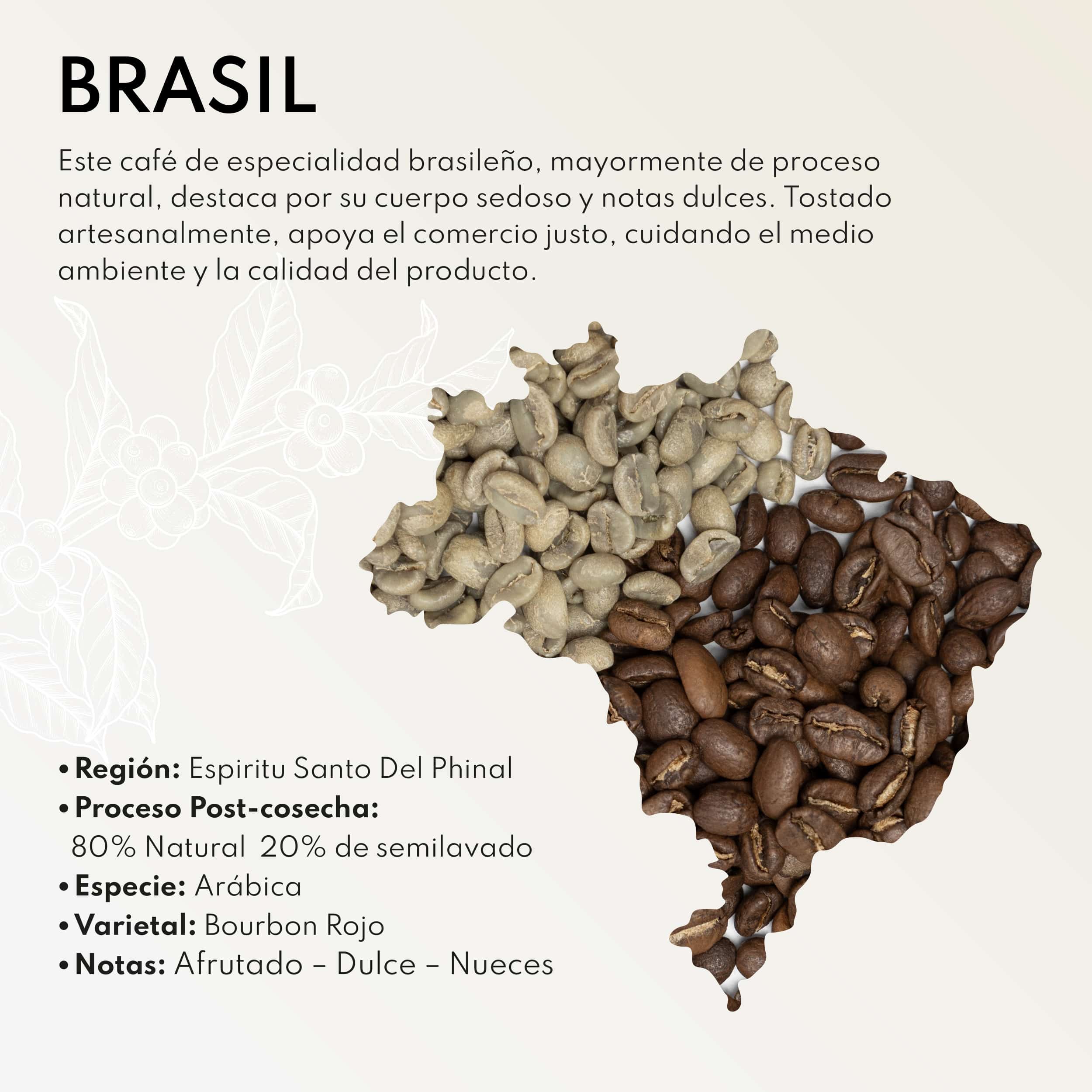 Café de Brasil Bourbon rojo en grano 250g - Imagen 2