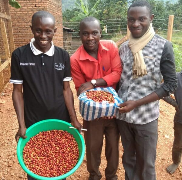 Café especial de Uganda