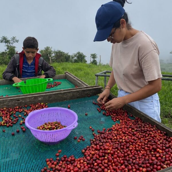 Café de Venezuela