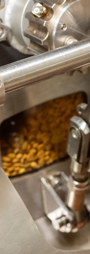 Grano a medio tueste, ya ámbar, visto por la ventana del tambor del tostador