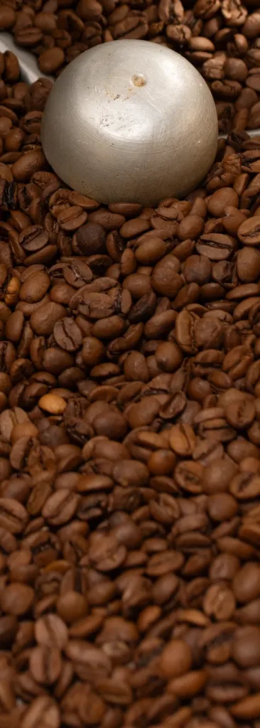 Bandeja de enfriado llena de café recién tostado, con el brazo que lo remueve