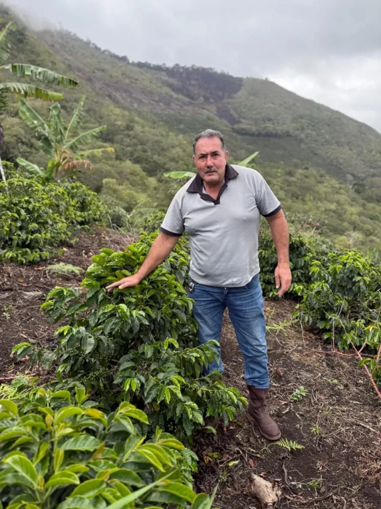 Rafael Arcángel Barillas, el caficultor de Loma del Ovejo, de pie en una ladera con la mano en un cafeto joven; detrás, plataneras y la montaña de Canaguá (Mérida) entre nubes