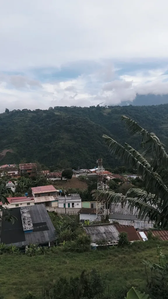 Casas de un pueblo del municipio Boconó en un valle rodeado de montañas cubiertas de bosque, vistas desde lo alto entre hojas de plátano (Trujillo, Venezuela)