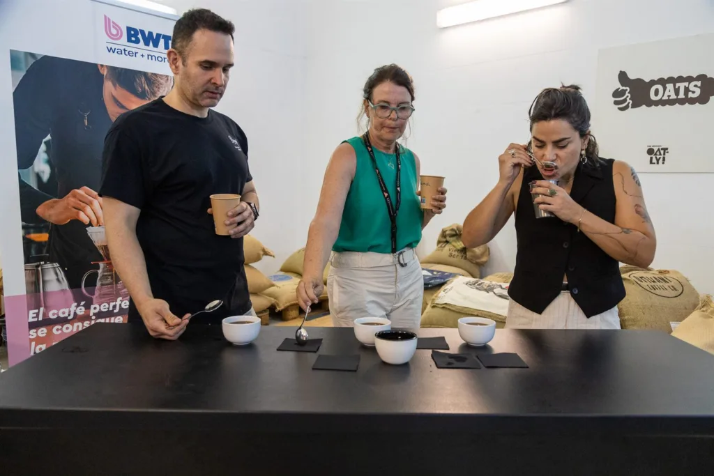 Tres jueces catando simultáneamente tres tazas colocadas sobre la mesa