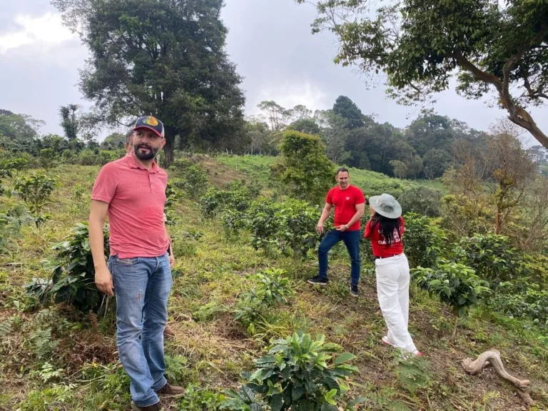 Samer Bou Hamdan entre los cafetos jóvenes de su finca La Neblina, en Zea (Mérida, Venezuela)