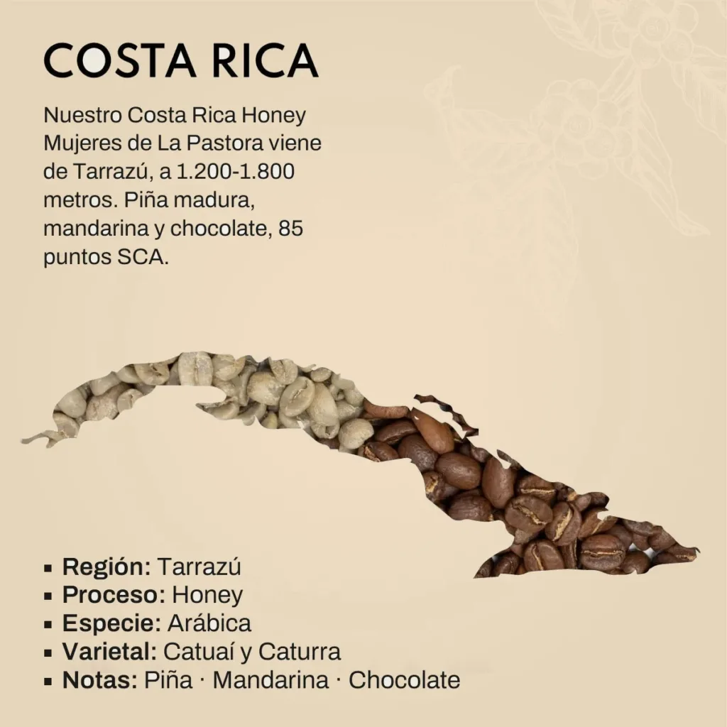 Lámina del lote de Costa Rica: el mapa del país formado por granos de café verdes y tostados, con los datos del lote: Tarrazú, proceso honey, variedades Catuaí y Caturra, con notas de piña, mandarina y chocolate.