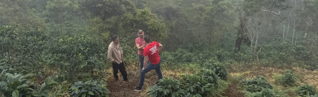 Niebla sobre el monte y cafetos en la finca La Neblina, en Zea (Mérida, Venezuela), con una persona de espaldas entre las plantas
