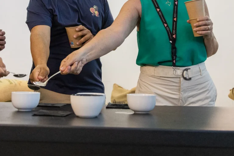 Tres catadores acercan sus cucharas de cata a las tazas de café sobre una mesa negra, en el tostadero de Boconó