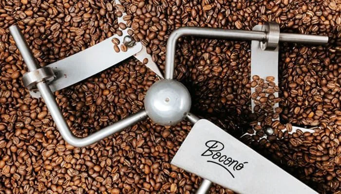 Granos de café recién tostados enfriándose en la bandeja de la tostadora de Boconó, entre los brazos que los remueven