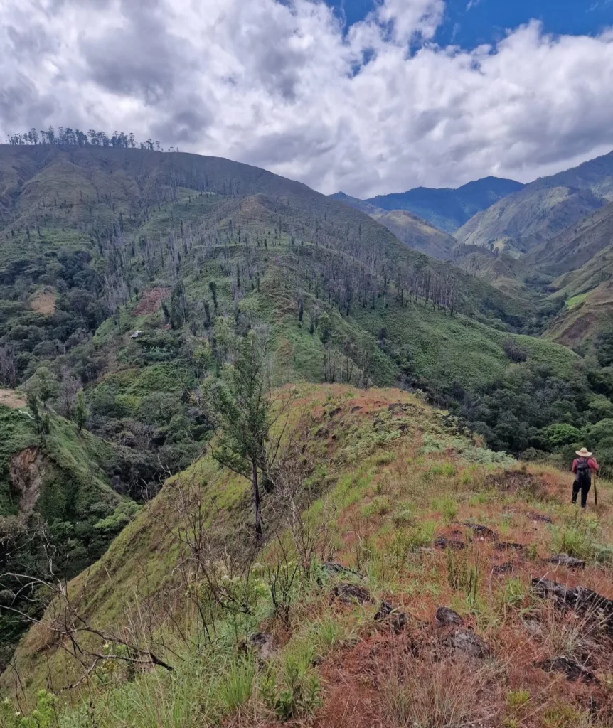 Montañas y laderas de la provincia de Loja, en los Andes del sur de Ecuador, donde se cultiva el café de altura del país