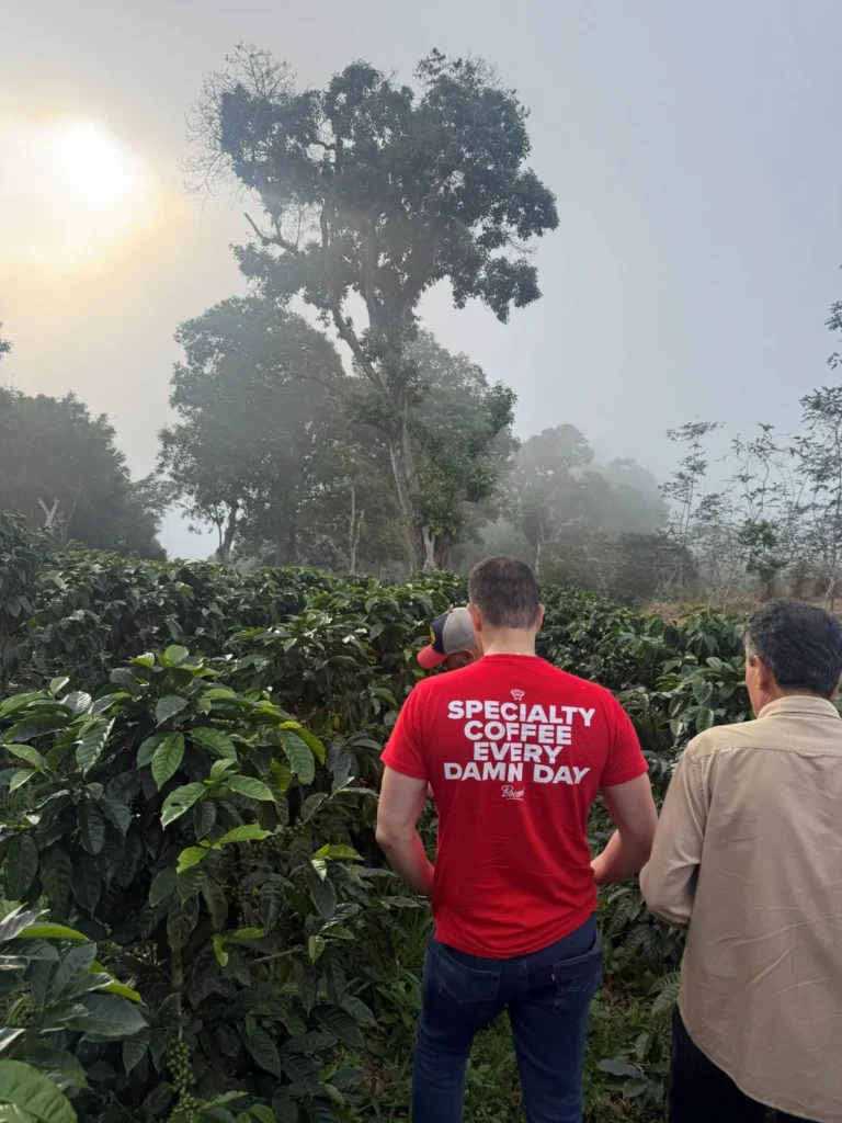 Dos personas de espaldas ante un cafetal con neblina y un árbol de sombra en la finca La Neblina, en Zea, estado Mérida (Venezuela)