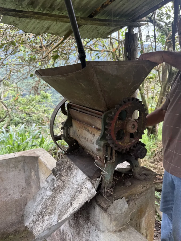 Despulpadora manual de hierro sobre el tanque de fermentación de obra en una finca de Zea