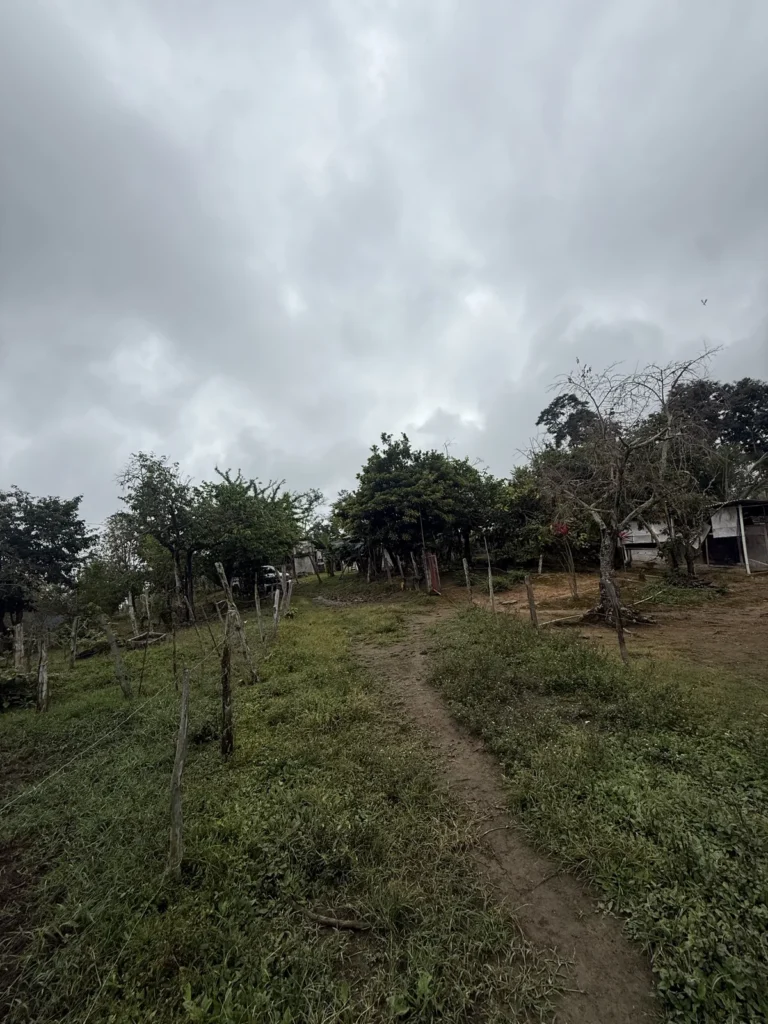 Camino de tierra que sube a la finca La Mesa de Palmarito, en Zea, estado Mérida