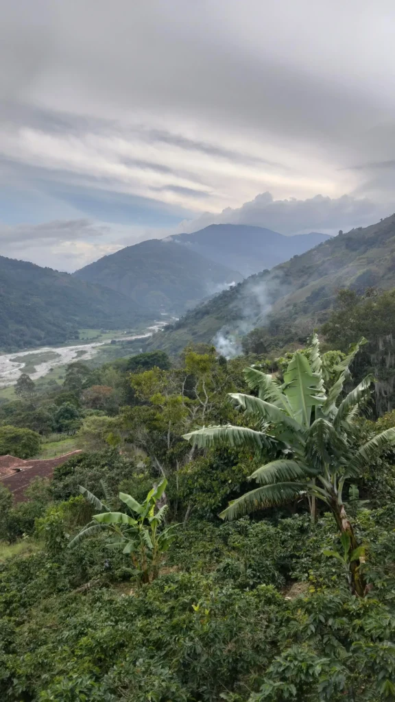 Valle de montaña con un río al fondo y vegetación en primer plano en el municipio Boconó, estado Trujillo (Venezuela), al atardecer