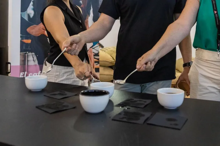 Catadores con la cuchara de cata sobre las tazas de cupping, en una mesa de cata negra